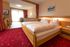 Hotel Apart & Landhaus Central - Fügen - Zillertal